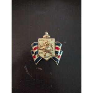Vintage 1940s BWRS Bundles for Britain Accessocraft Coat of Arms Brooch Pin WWII